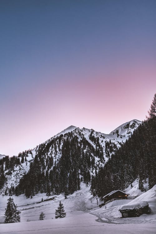 雪山和绿松树 · 免费素材图片