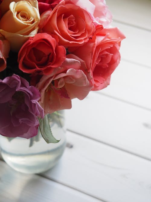 浅焦点的红色和粉红色的花朵 · 免费素材图片