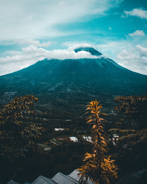 山与树 · 免费素材图片