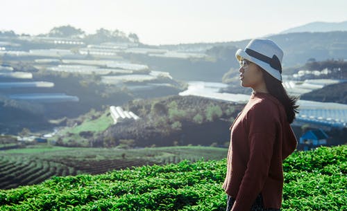 棕色连帽外套的女人 · 免费素材图片