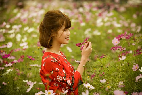 女人穿着红色和白色的花圆领四分之一袖顶摘花 · 免费素材图片