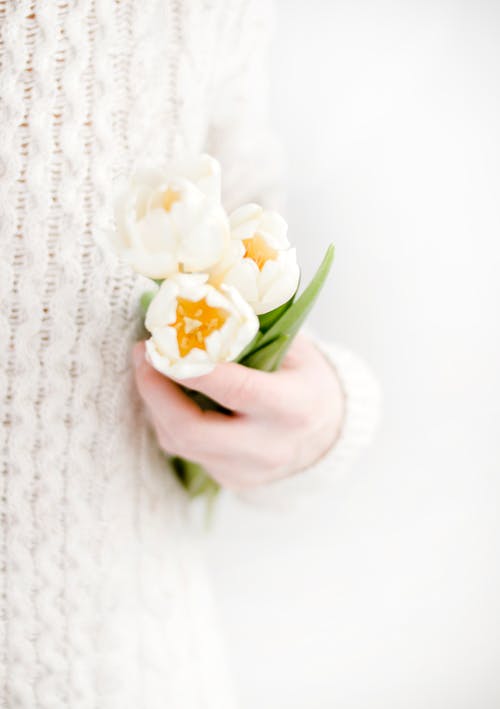 人拿着白色的花瓣花 · 免费素材图片