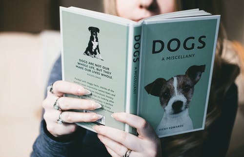 女人抱着狗杂书 · 免费素材图片