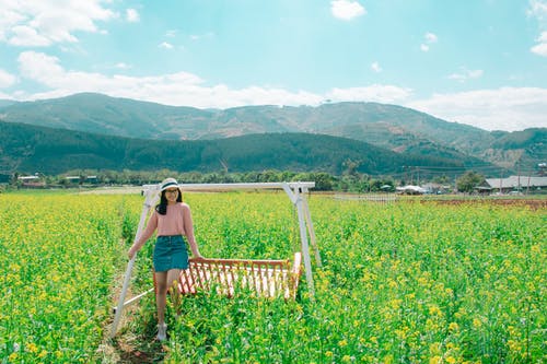 女人坐在绿草包围的棕色和白色冠层秋千上 · 免费素材图片