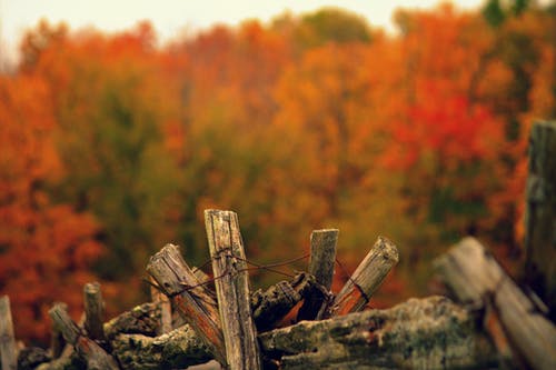带导线的红色木柴的选择性聚焦摄影 · 免费素材图片