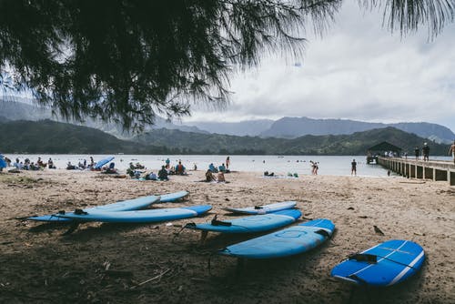 岸上的蓝色冲浪板 · 免费素材图片