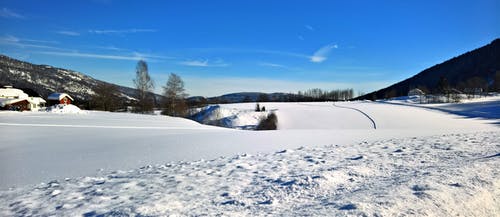 雪在发辫附近的照片 · 免费素材图片