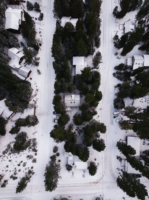 绿树环绕的白雪覆盖的房屋的地域摄影 · 免费素材图片