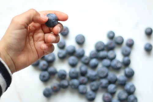 持有蓝莓的人 · 免费素材图片