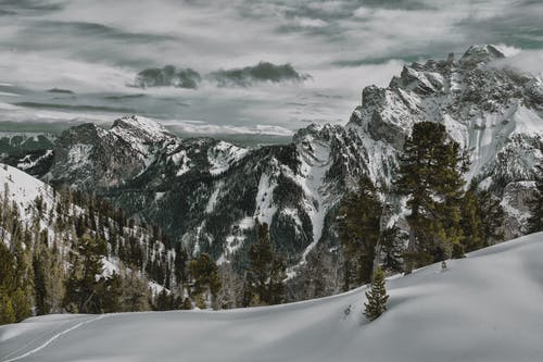 绿叶树上的雪山 · 免费素材图片