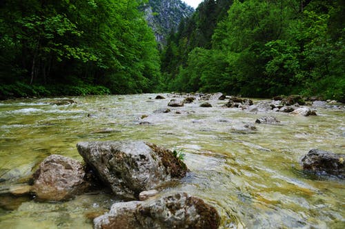 绿叶树环绕的山间河 · 免费素材图片