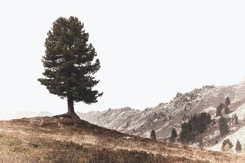 山的风景 · 免费素材图片