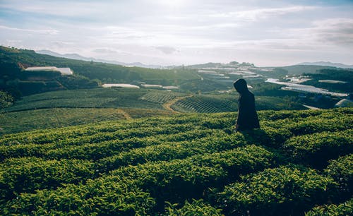 绿草地上的人 · 免费素材图片