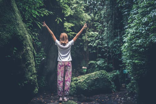 举起双手面对森林树木之间的途径的女人 · 免费素材图片