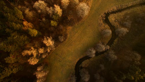 草地和树木的顶视图摄影 · 免费素材图片