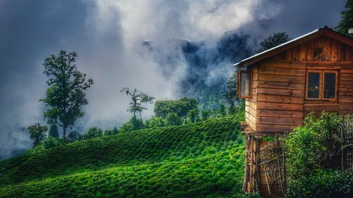 绿草地上的棕色木屋 · 免费素材图片