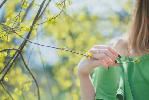 女人穿着绿色顶部控股叶的特写摄影 · 免费素材图片