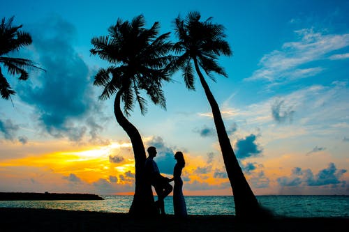 男性和女性在棕榈树下的剪影照片 · 免费素材图片