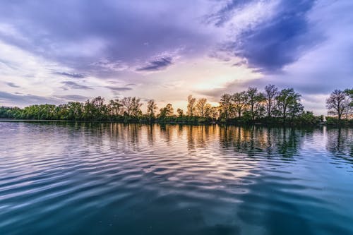 多云的天空下的水体附近的绿树 · 免费素材图片