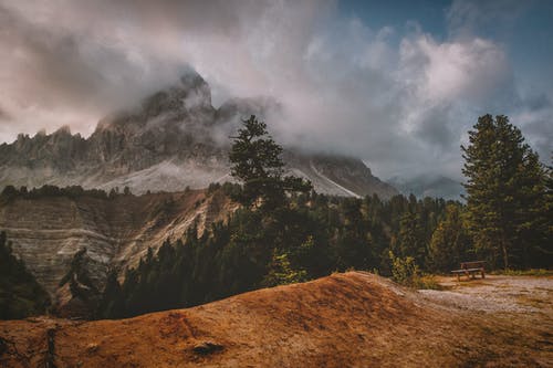 绿色的叶子的树木与山景 · 免费素材图片