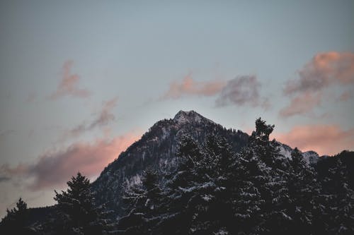 森林山 · 免费素材图片