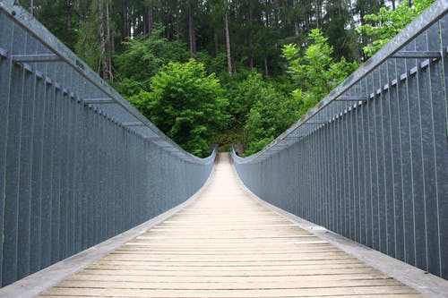 灰色和棕色的混凝土桥 · 免费素材图片