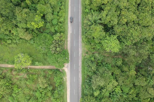 森林之间的灰色混凝土路上的黑色车辆的航拍照片 · 免费素材图片