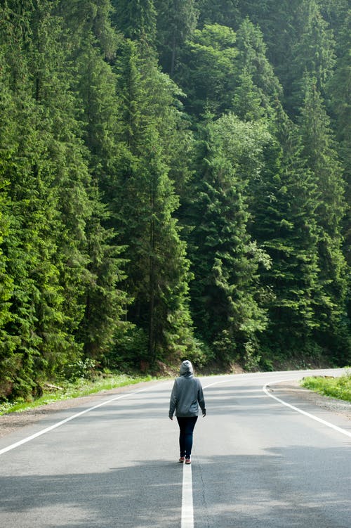 在树附近的道路上行走的人 · 免费素材图片