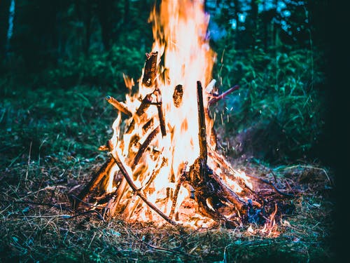 森林萤火虫篝火晚会 · 免费素材图片