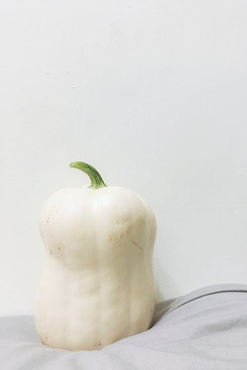 白菜 · 免费素材图片