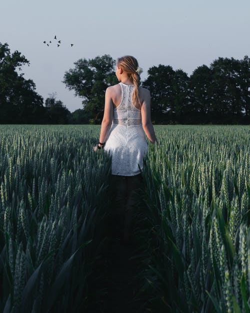 绿色植物附近的白色无袖连衣裙的女人 · 免费素材图片