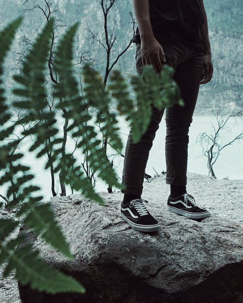 站在植物附近的白雪上的男人 · 免费素材图片