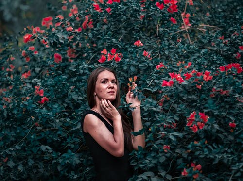 女人在浅焦点摄影中拿着红色的花瓣花 · 免费素材图片