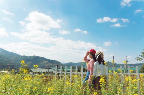 两个女人站在蓝色的天空下包围黄色花瓣花园 · 免费素材图片