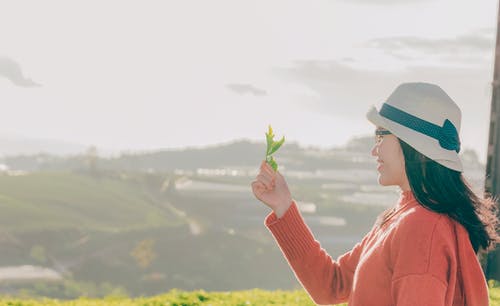 女人抱着绿色的树叶 · 免费素材图片