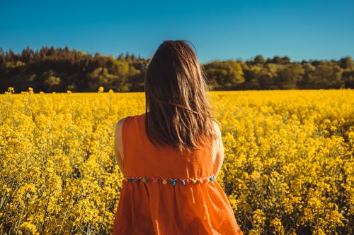 看花田的妇女照片。. · 免费素材图片