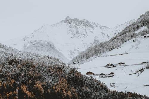 森林附近的雪山照片 · 免费素材图片