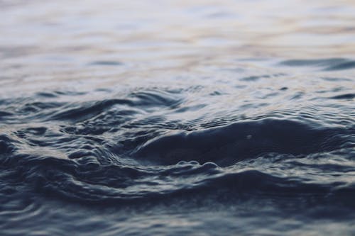 近摄摄影的水体 · 免费素材图片