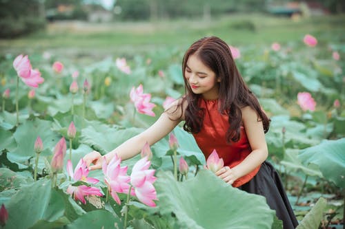 拿着桃红色莲花的红顶的妇女 · 免费素材图片