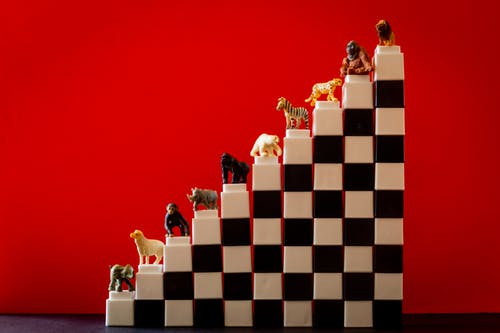 楼梯上的动物小雕像由玩具积木制成 · 免费素材图片