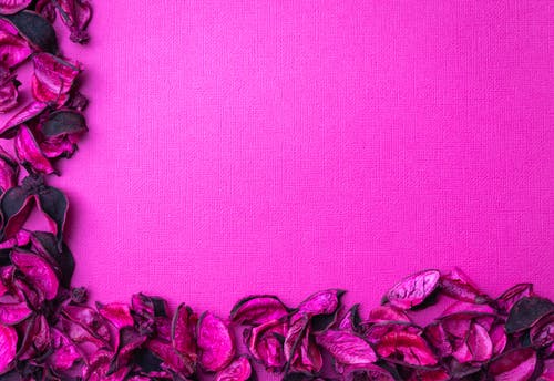 在粉红色的纺织品上的粉红色花朵的照片 · 免费素材图片