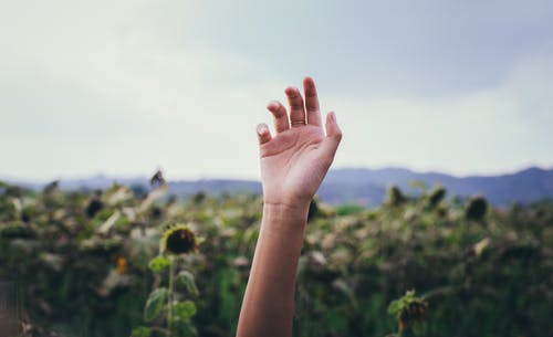 右手的选择性聚焦摄影 · 免费素材图片