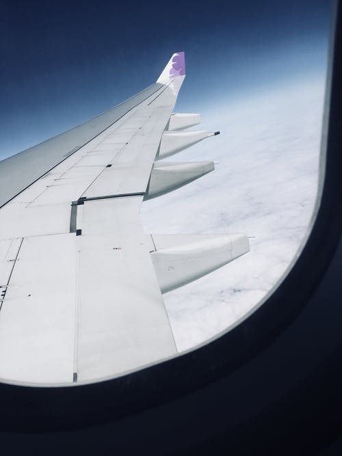 从飞机内部查看飞机机翼 · 免费素材图片