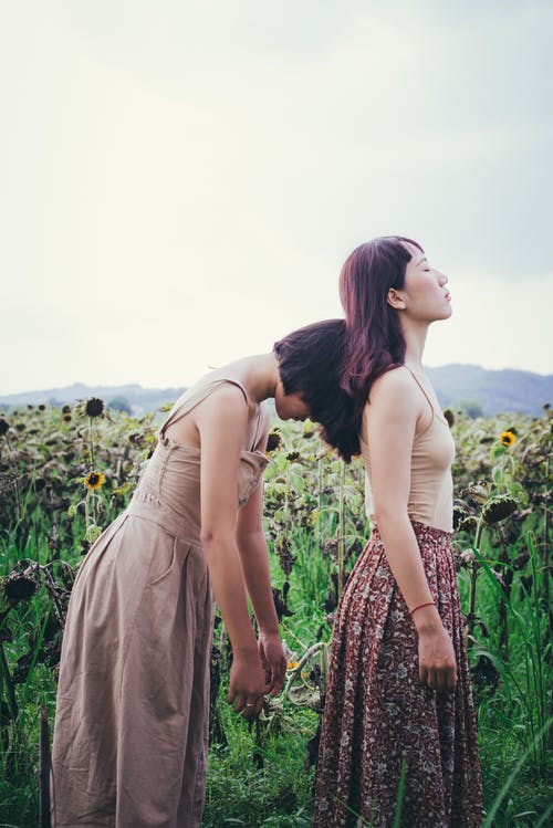 两个女人站在多云的天空向日葵田附近 · 免费素材图片