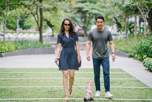 夫妻与狗在绿色草地上散步 · 免费素材图片