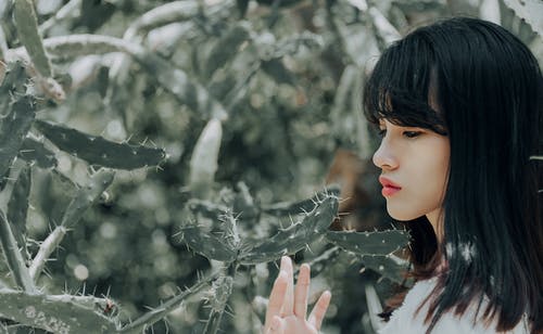 女人抱着仙人掌植物的特写照片 · 免费素材图片