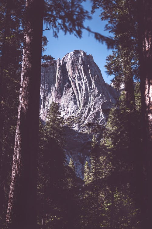 绿色森林附近的灰山 · 免费素材图片