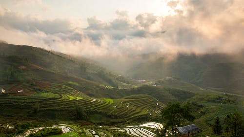 菲律宾水稻梯田 · 免费素材图片