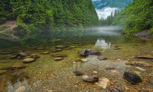 平静的河水照片 · 免费素材图片