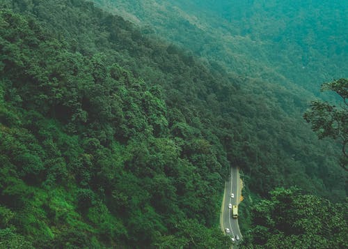 道路附近树木的鸟瞰摄影 · 免费素材图片